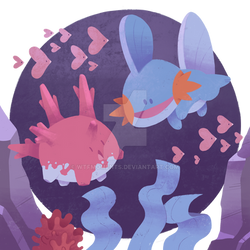 Mudkip and Corsola