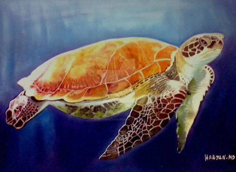 Sea turtle