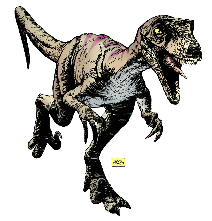 Raptor sketch color by Raffaele-Ienco on DeviantArt