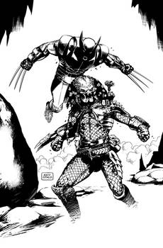 Predator vs Wolverine sketch Raff Ienco