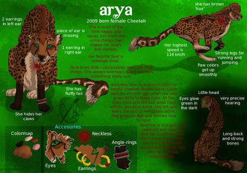 Arya -Cheetah-