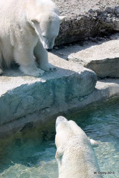 Come On In . . The Water's Great!