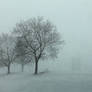 Trees in a Snowstorm