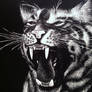 Tiger Scratchboard