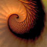 Curl
