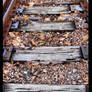 Railroad tracks 1