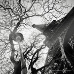 Tower, Tree and a Lamp by soulofautumn87