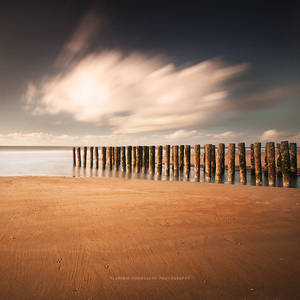 Sand, Logs and Clouds