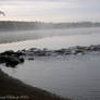 Misty Mississippi Headwaters