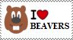I Love Beavers