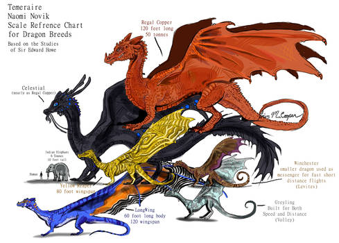 Dragon Breeds Size Refrence
