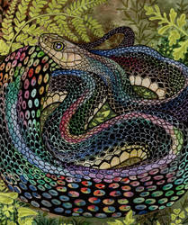 Garden Snake Study Beyond the Skin