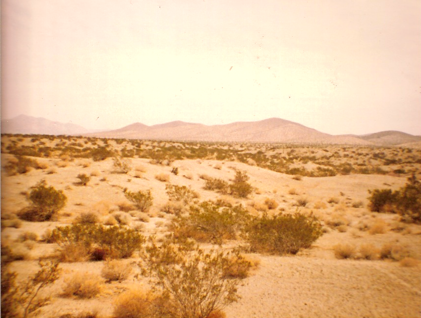 More Mojave Desert