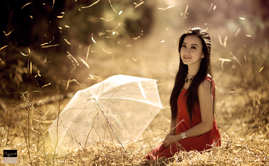 Grace In the Bamboo Forest V