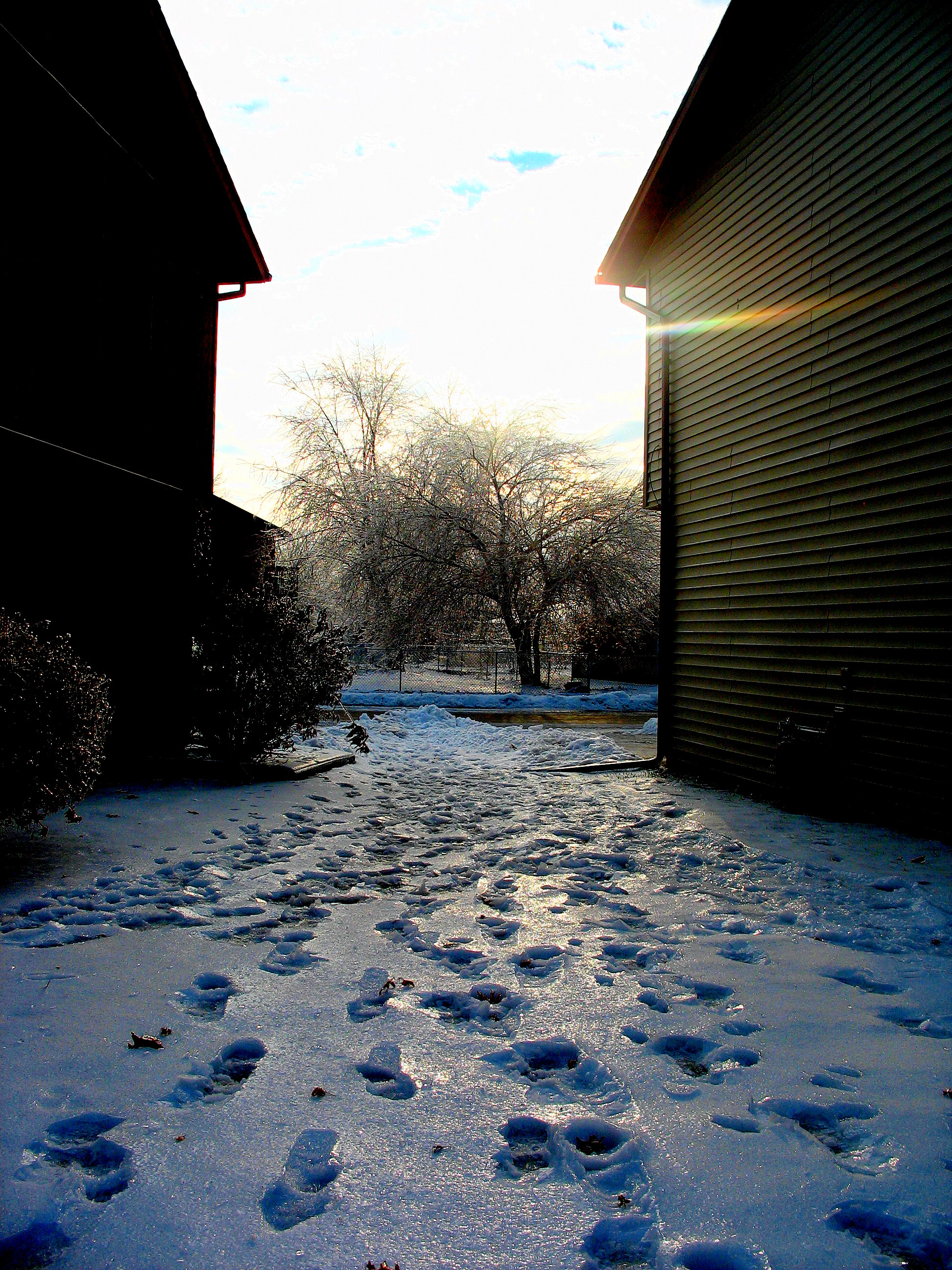 Winter Ice Morning