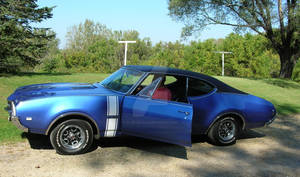 Cool Blue 442!!!