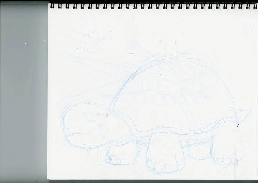 Pyko Turtle Piko the Turtle by epsilon523 on DeviantArt