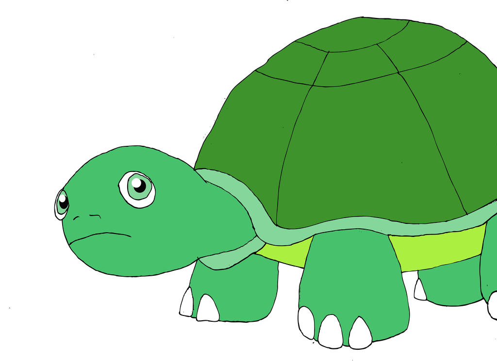 Pyko Turtle Piko (Vector Painting) by epsilon523 on DeviantArt