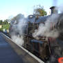 Steam Train