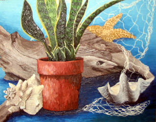 Still Life with Seashells by Shadoweddancer
