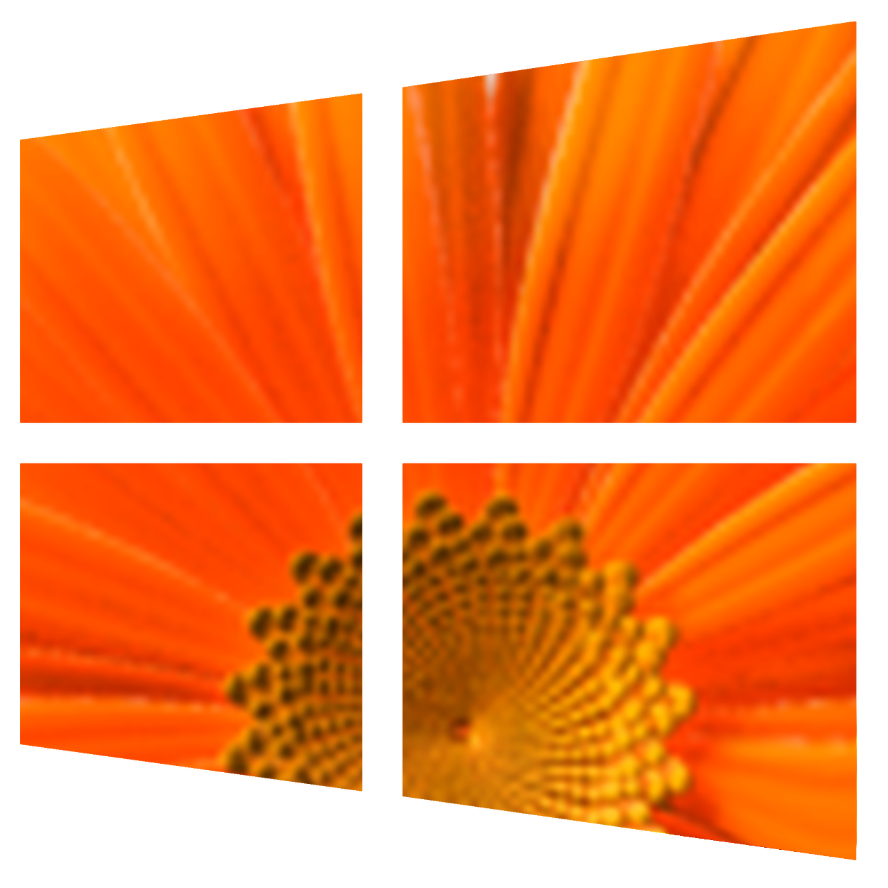 Windows Orangeflower by Mohamadou-WinXP on DeviantArt