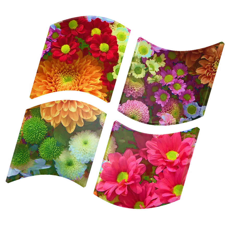 Windows Flower by Mohamadou-WinXP on DeviantArt