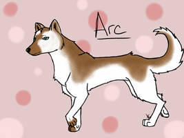 Arc The Wolf