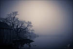 Gloomy December by Maranwet