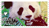 *|.Giant Panda Stamp.|*
