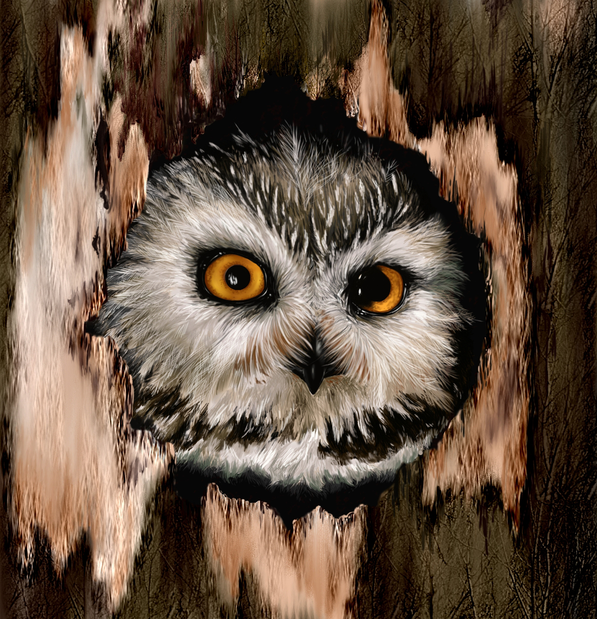 Owl