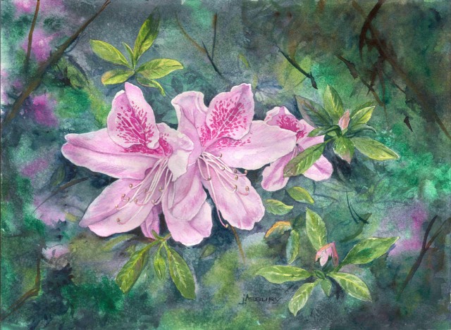 Azaelas Flower Watercolor Art