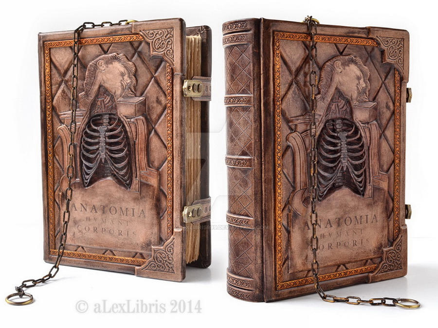 Anatomia Humani Corporis, 11 x 8 inches