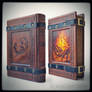 Dragon journal...