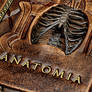 Anatomia...