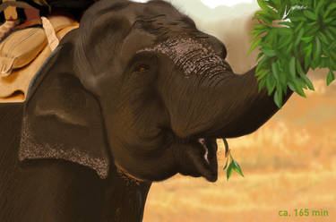 12.09 Elefant Speedpainting