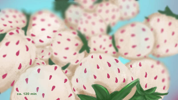 20.11. Pineberries Speedpainting