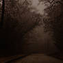 Into the Fog