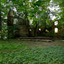 Ruins Hidden in the Forest