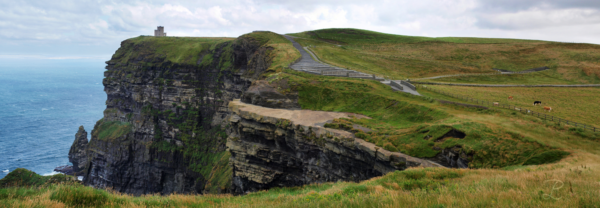 At the Cliffs of Moher