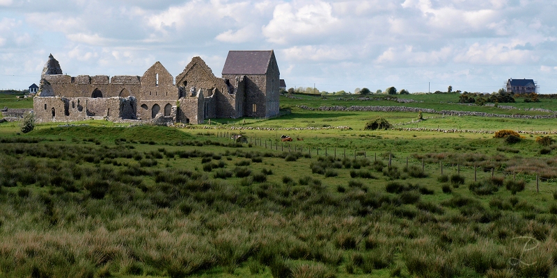 Irish Ruin