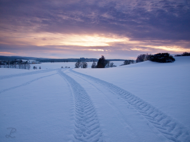 Winter Dreams II