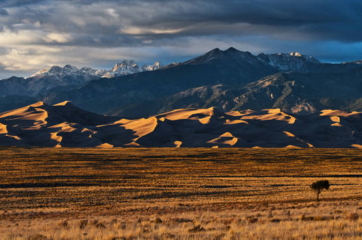 Stormy Dunes