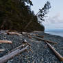 Wild Coast