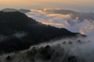 Foggy Valley