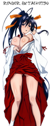 Akeno Himejima by Zaydo