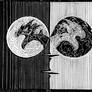 YinYang