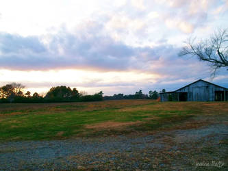 The Barn II