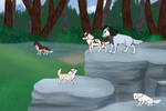 Rocky Forest Exploration 5 by northpawsarpg