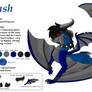 Nash Ref Sheet- Age 17