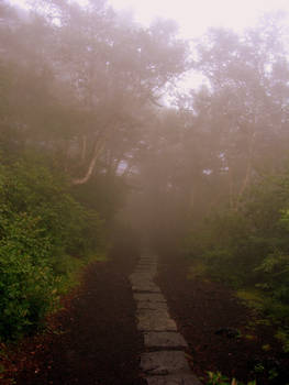 Fuji-san in mist